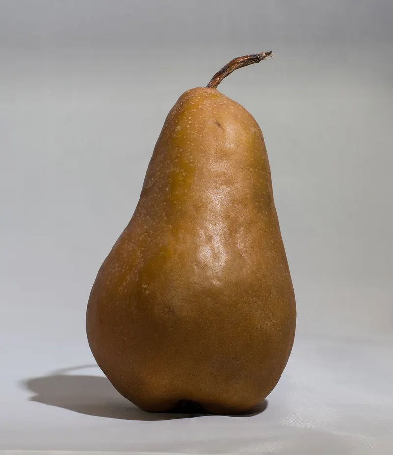 A russeted Bosc pear shown against a plain background.